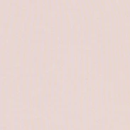 MAGLIA IN PURO COTONE - ROSA - Image 5