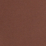 POLO IN COTONE TINTO CAPO - TABACCO - Image 5
